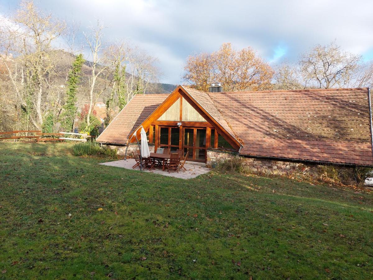 La Canopee Alsacienne - Magnifique Maison A Ribeauville Екстериор снимка