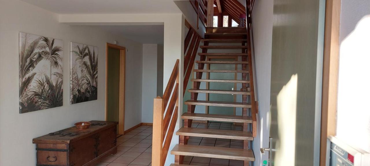 La Canopee Alsacienne - Magnifique Maison A Ribeauville Екстериор снимка