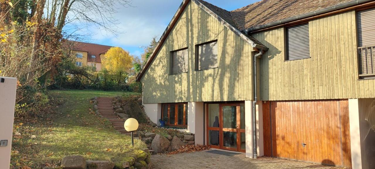 La Canopee Alsacienne - Magnifique Maison A Ribeauville Екстериор снимка